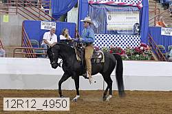 12r12_4950 proof