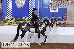 12r12_4953 proof