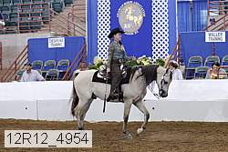 12r12_4954 proof