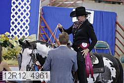 12r12_4961 proof