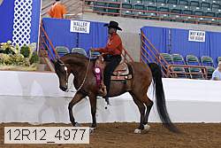 12r12_4977 proof