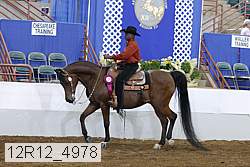 12r12_4978 proof