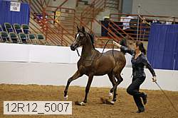 12r12_5007 proof
