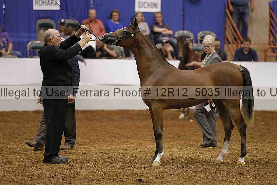 Proof 12r12_5035