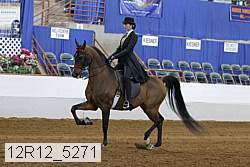 12r12_5271 proof