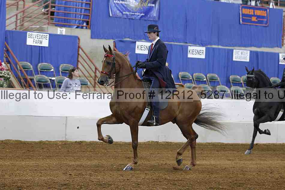 Proof 12r12_5287