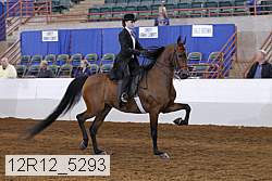 12r12_5293 proof