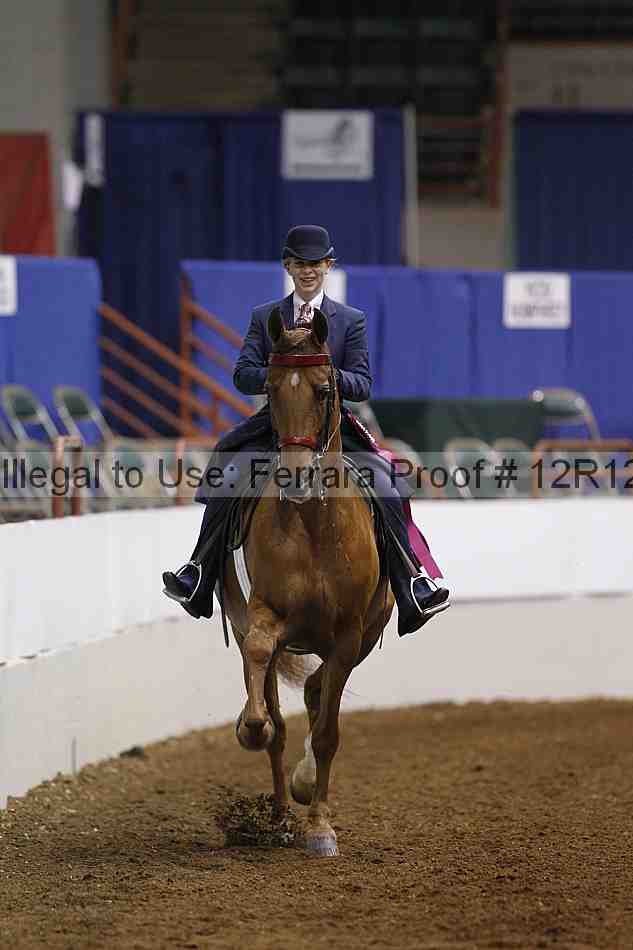 Proof 12r12_5320