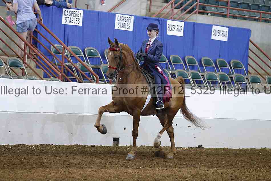 Proof 12r12_5329