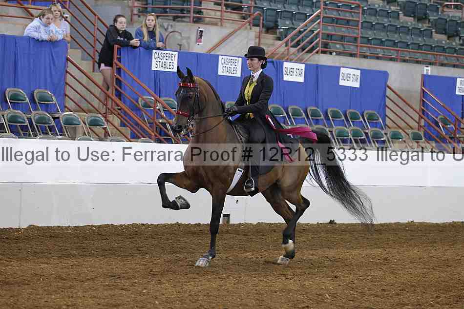 Proof 12r12_5333
