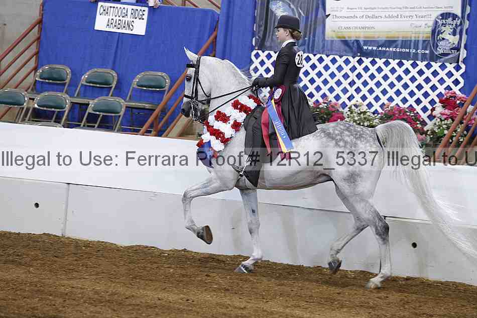 Proof 12r12_5337