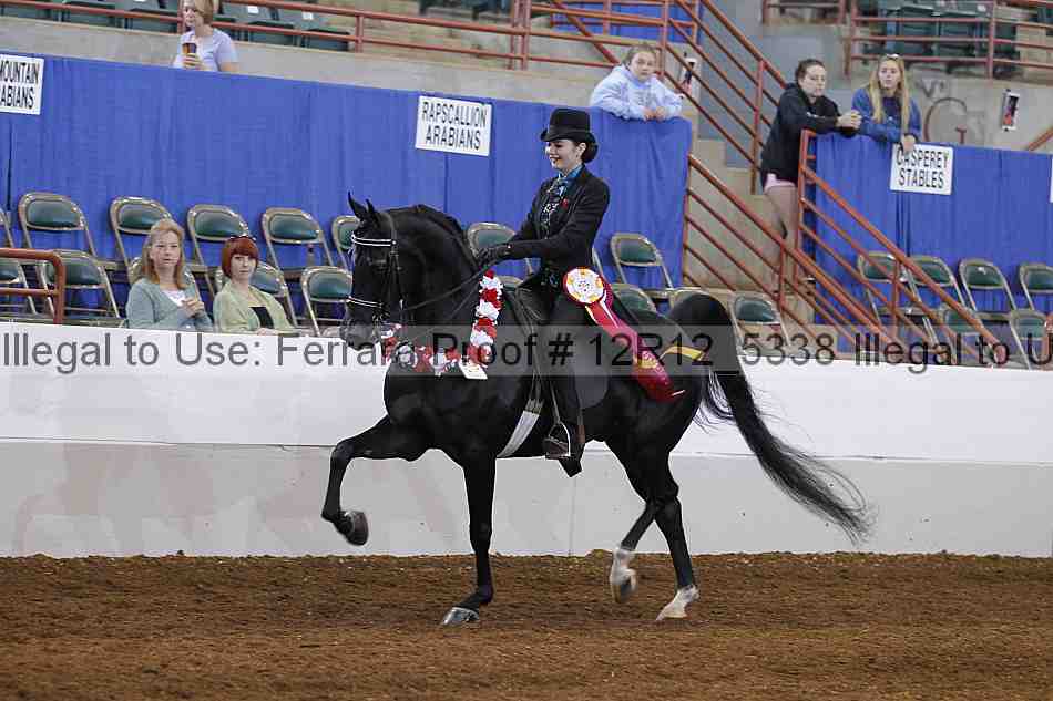 Proof 12r12_5338