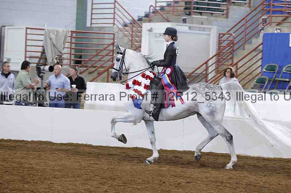 Proof 12r12_5343
