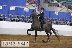 12r12_5347 proof