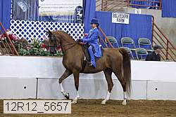 12r12_5657 proof