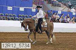12r12_5734 proof