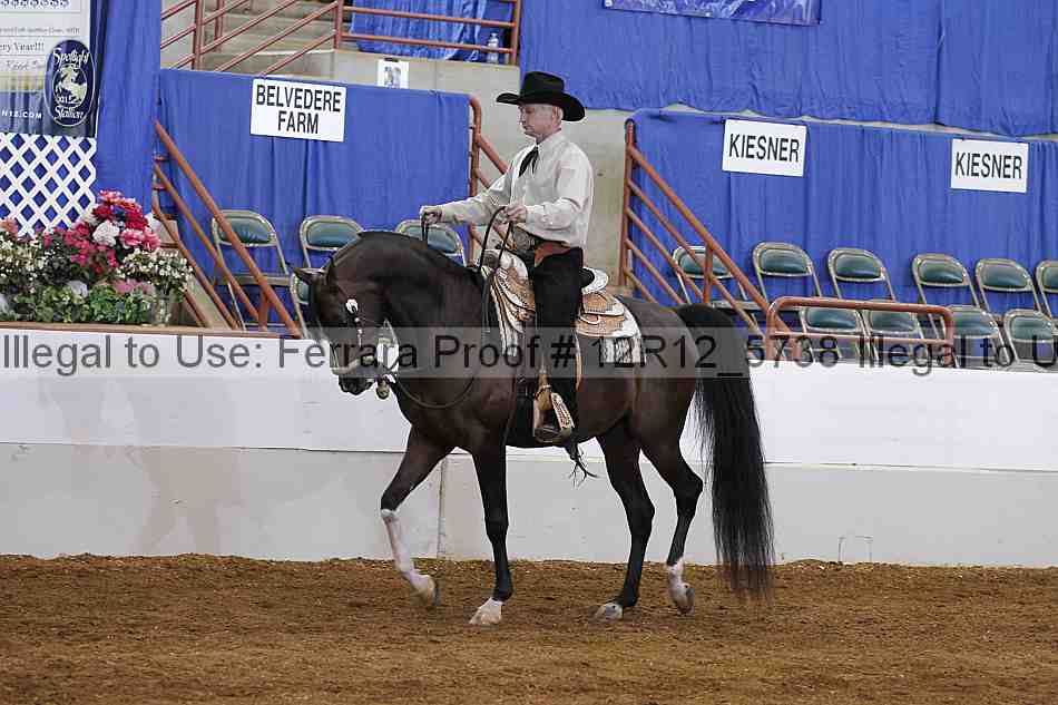 Proof 12r12_5738