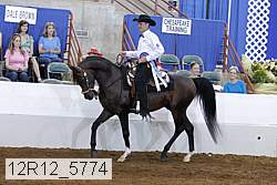 12r12_5774 proof