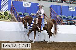 12r12_5776 proof