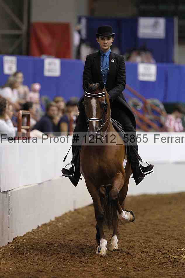 Proof 12r12_5855