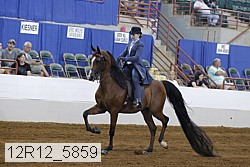12r12_5859 proof