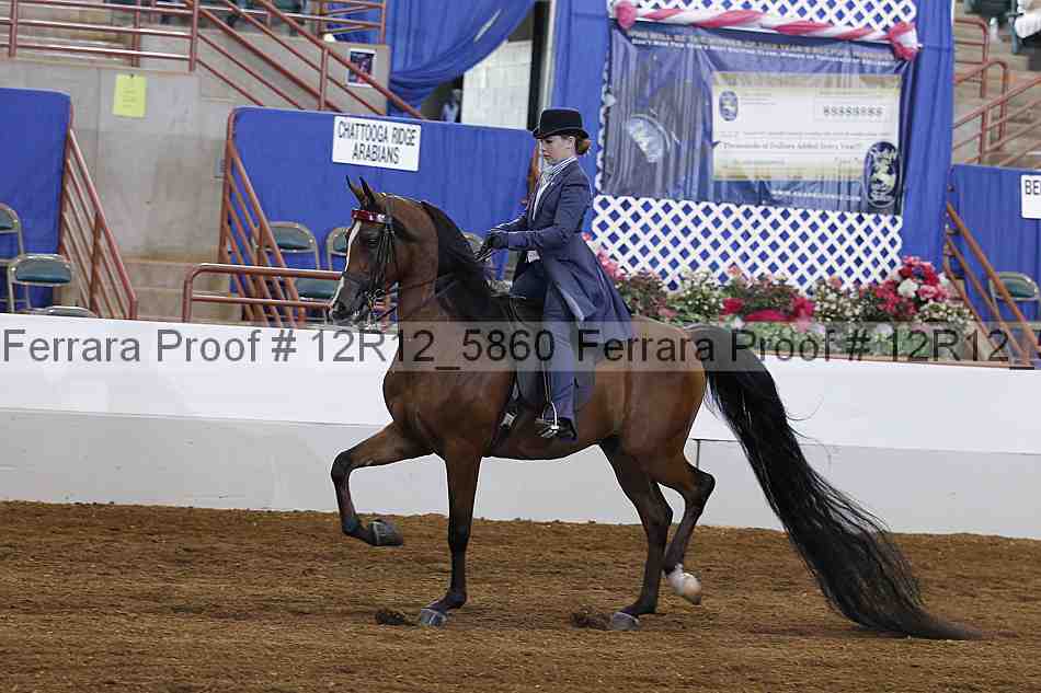 Proof 12r12_5860