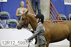 12r12_5993 proof