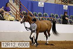12r12_6000 proof
