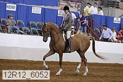 12r12_6052 proof