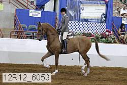 12r12_6053 proof