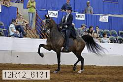 12r12_6131 proof