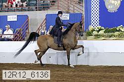 12r12_6136 proof
