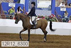 12r12_6300 proof