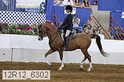 12r12_6302 proof