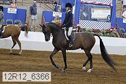 12r12_6366 proof