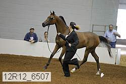 12r12_6507 proof
