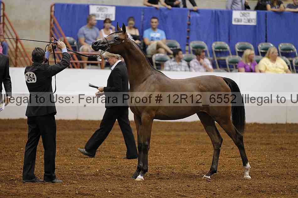 Proof 12r12_6552