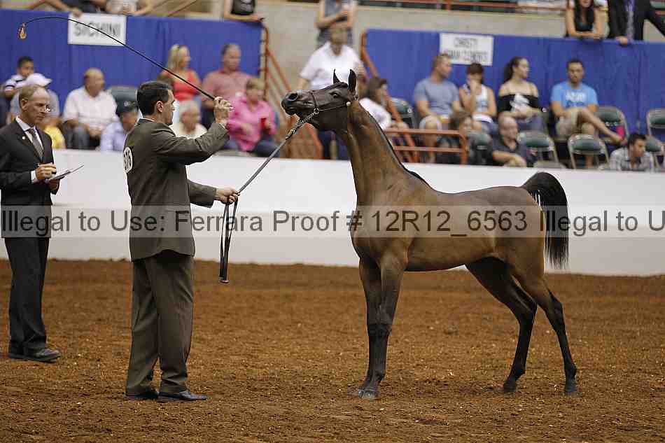 Proof 12r12_6563