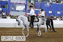 12r12_6806 proof