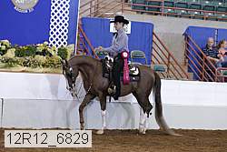 12r12_6829 proof