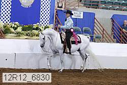 12r12_6830 proof