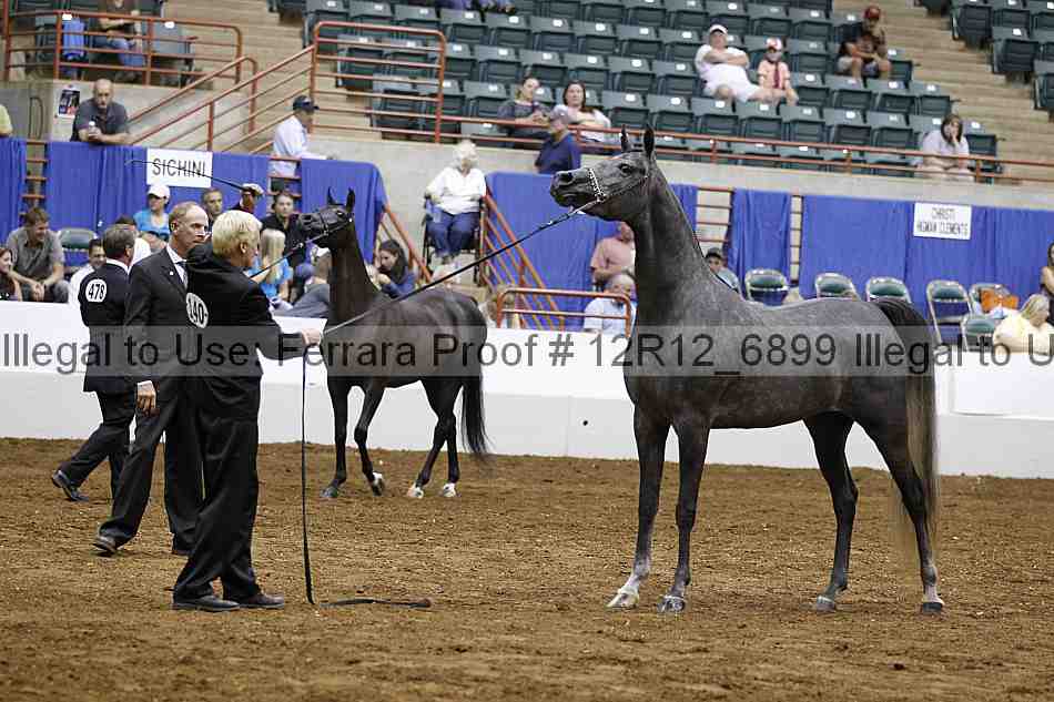 Proof 12r12_6899
