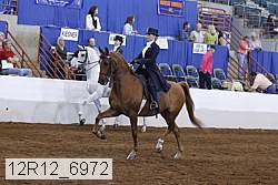 12r12_6972 proof