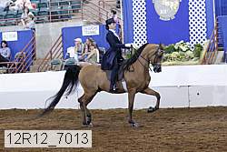 12r12_7013 proof