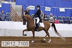 12r12_7100 proof