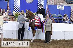 12r12_7111 proof