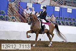 12r12_7113 proof