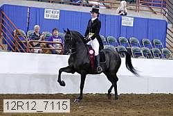 12r12_7115 proof