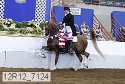 12r12_7124 proof