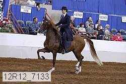 12r12_7133 proof